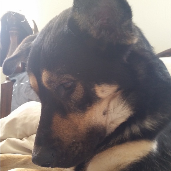 Meet your Posher, Tiffani - Picture 1 of 1